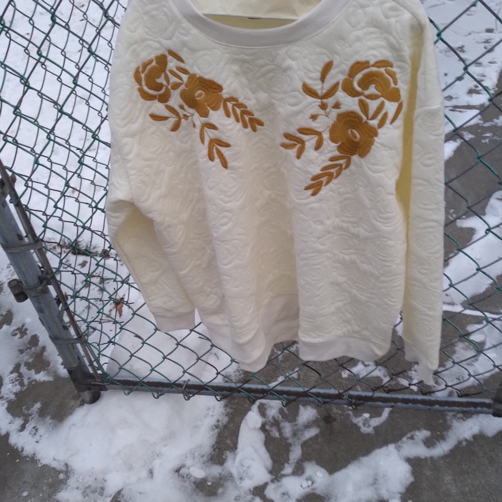 Curations Cream Women Sweater
